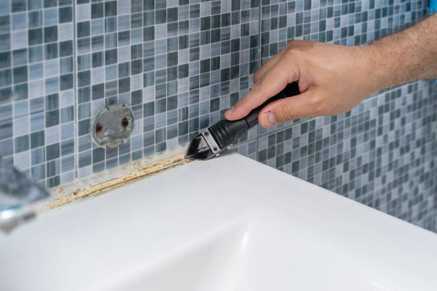 Best Mold Removal Process  in Cross Roads, TX