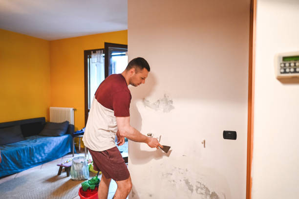 Best Residential Mold Removal  in Cross Roads, TX